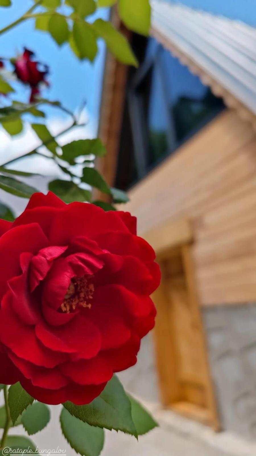 Sataplebungalov Camlihemsin Luaran gambar